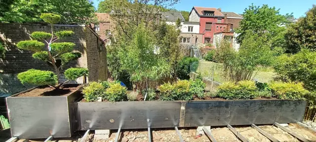 Bacs en acier plantés