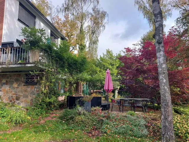 Le jardin avant le chantier de piscine