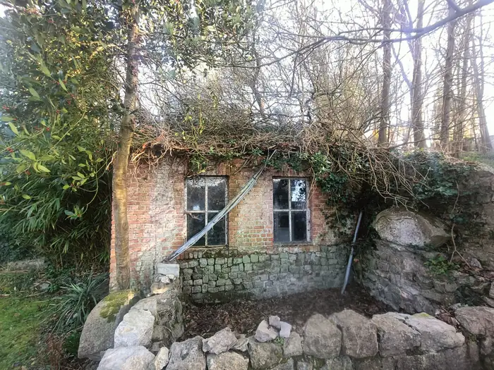 Bâtiment en brique en ruine, envahi de lierre, avant travaux à Andenne